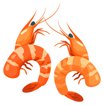 Two vibrant orange shrimp depicted in an illustration. png