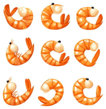 Nine illustrations of cooked shrimp in various orientations. png