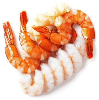Fresh cooked shrimp, orange and white, ready to eat. png