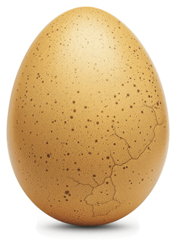 A close-up view of a cracked, light brown egg. png