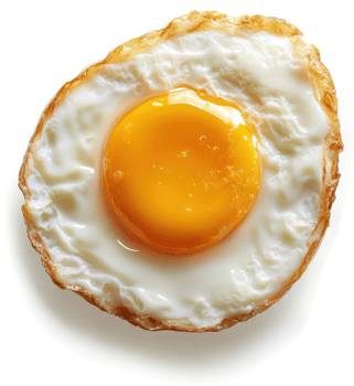 A perfectly cooked fried egg, showcasing a runny yolk. png