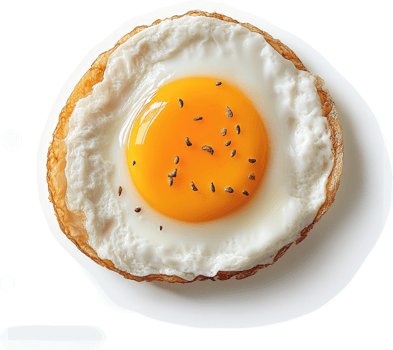 A perfectly cooked fried egg, with a runny yolk. png