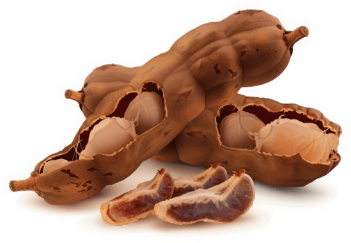 Opened tamarind pods display their fleshy, nutritious insides. png