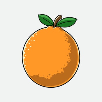 Orange Tropical Summer Fruit Illustration vector