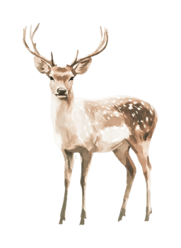 Majestic deer with antlers standing gracefully in profile view png