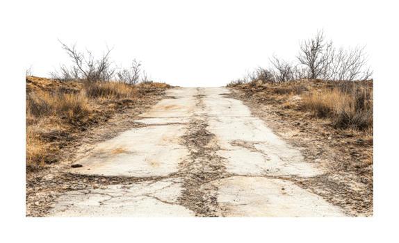 Rugged pathway through arid terrain with sparse vegetation png