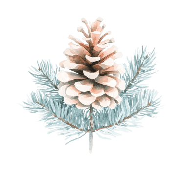 Watercolor pine cone on greenery with natural details png