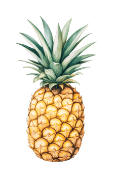 Realistic pineapple illustration with spiky leaves and textured skin png