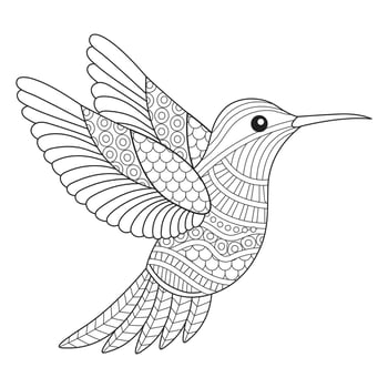 Intricate Hummingbird Line Art vector