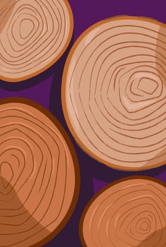 Pieces of Wood Lined Up vector