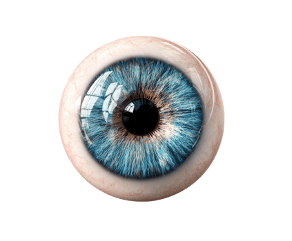 Vibrant blue iris details in a realistic human eye png