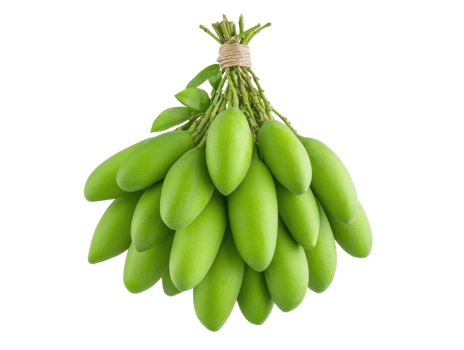 Fresh green bananas for healthy cooking and snacking ideas png