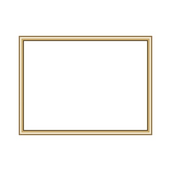 Rectangle gold frame. Isolated luxury rectangle golden border. Gold rectangle frame mockup design element. vector
