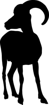 Silhouette of a Ram vector