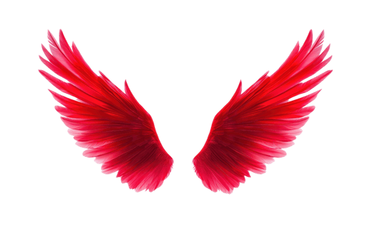 A Red angel wings with vibrant feathers, symbolizing freedom and imagination. striking color and detailed texture evoke sense of fantasy and creativity png