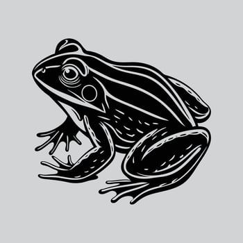 Frog graphic detail vector
