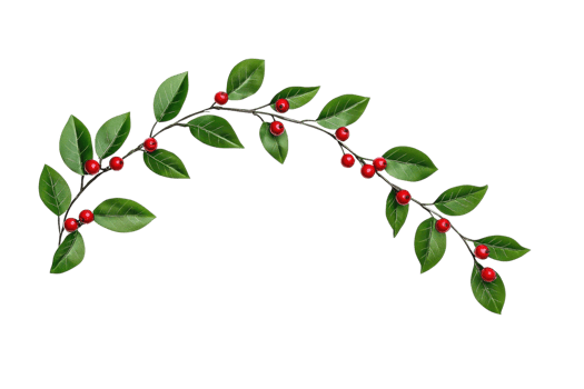 A decorative garland of green leaves and red berries forms elegant arch, perfect for festive or natural themed designs. vibrant colors and organic shape add touch of nature and celebration png