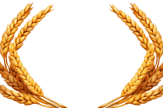 A Golden wheat ears form symmetrical laurel wreath, symbolizing prosperity and abundance. detailed illustration showcases natural beauty and texture of wheat, creating sense of elegance and png