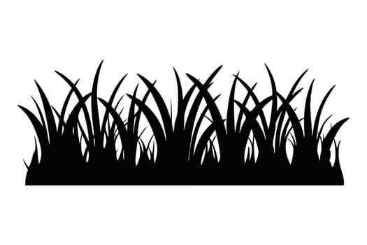 silhouette of grass on a white background vector