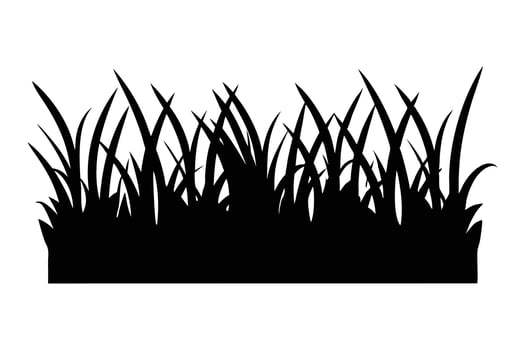 a black and white silhouette of grass. vector