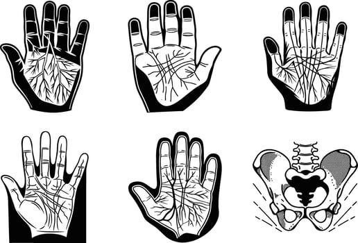 Palmistry hand illustration set of hand drawn palm reading and hip bone anatomy vector