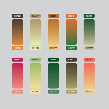 Background Color Palette vector