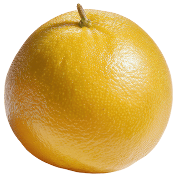 Fresh yellow fruit with smooth skin and vibrant color isolated on transparency background png