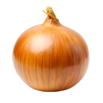 single yellow onion png