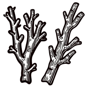 Monochrome sketch of coral branches showcasing marine biodiversity and ocean life vector