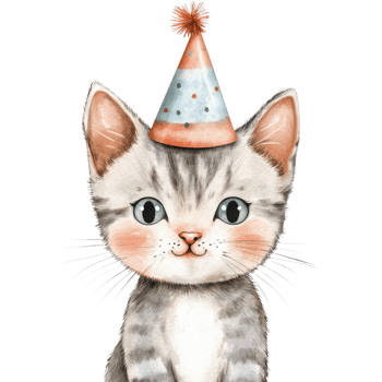 Kitten wearing party hat on transparent Background png