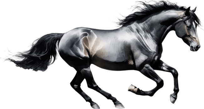 majestic horse gallops gracefully across transparent background, showcasing its powerful form and flowing mane. This stunning image captures beauty and elegance of horse in motion. png