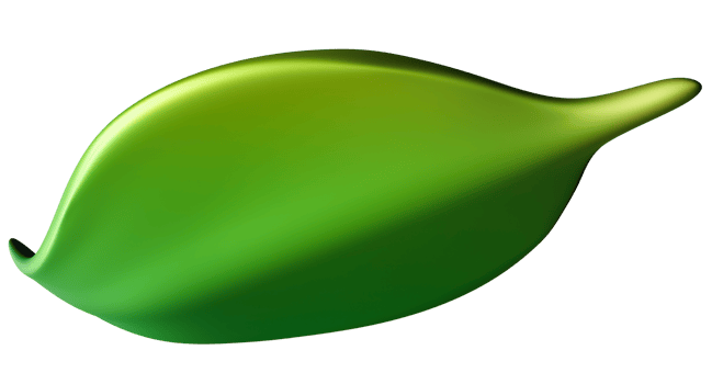 3D green leaf illustration with glossy, organic look, isolated on transparent background. Perfect for eco-friendly, botanical designs. 3d render png