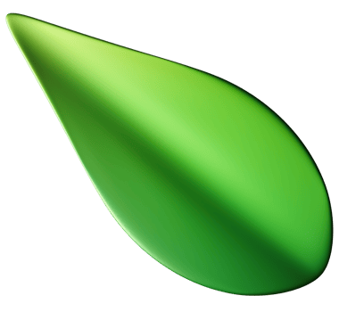 3D green leaf illustration with glossy, organic look, isolated on transparent background. Perfect for eco-friendly, botanical designs, nature themes, environmental or wellness projects. png