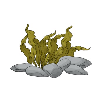 illustration of seaweed and sea rocks vector