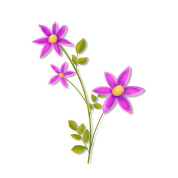 A purple flower with green leaves on a Transparent background png
