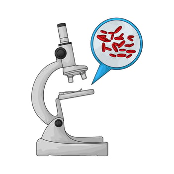 Laboratory microscope and blood cell illustration vector