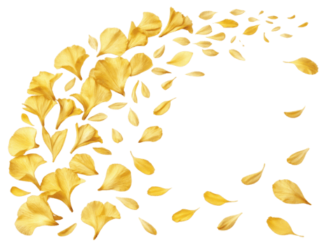 Golden petals of gladiolus flowers create beautiful and vibrant display, evoking sense of elegance and natural beauty png
