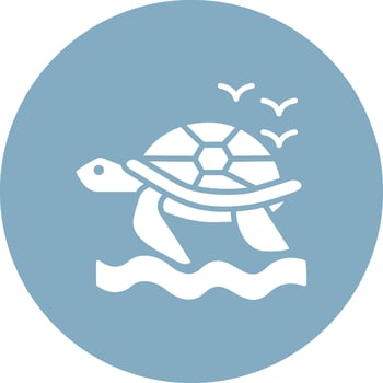 Turtle Playful Line Icon vector
