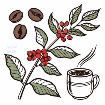 Rustic Coffee Plant Illustration Hand Drawn Botanical Art with Berries and Cup. vector
