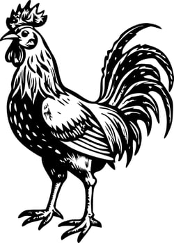 Farm rooster illustration in vintage style vector