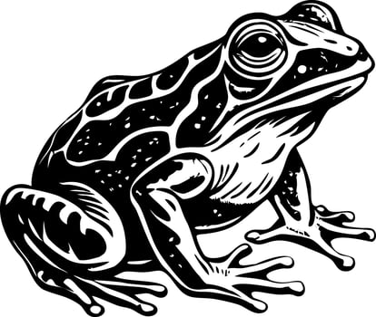 A vintage style illustration of frog vector