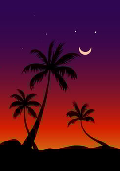 Palm silhouette in breathtaking night vector