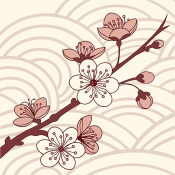 Traditional Japanese Flower Design Featuring Sakura Blossoms vector