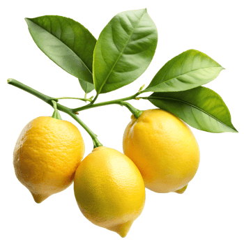 lemons on branch png