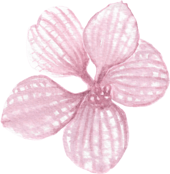 Violet orchid with stripes that is drawn and painted by hand in watercolor fine art style png