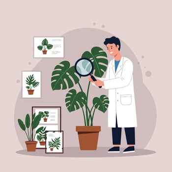 Scientist examining monstera plant with magnifying glass in laboratory setting illustration vector