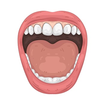Illustration of Mouth vector