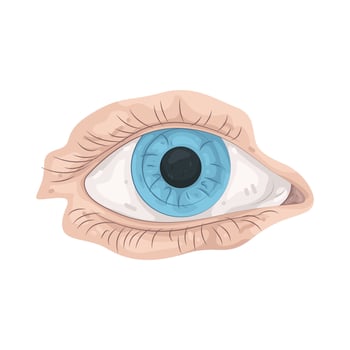 Illustration of Human Eye vector