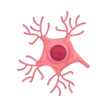 Illustration of glial cell vector