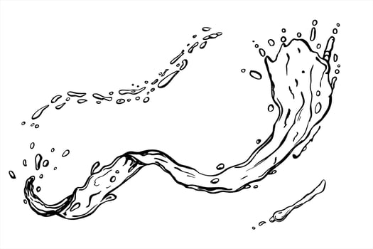 monochrome water splash and drops illustration painted by black inks. Water wave texture with bubbles graphic sketch for beverage branding, sports logos, skincare packaging, summer promotions vector